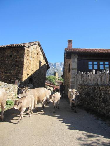 Hosteria Picos De Europa