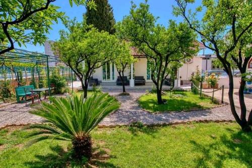 Apartments Suster photo