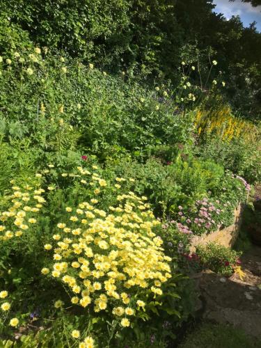 The Cottage Abbotsbury