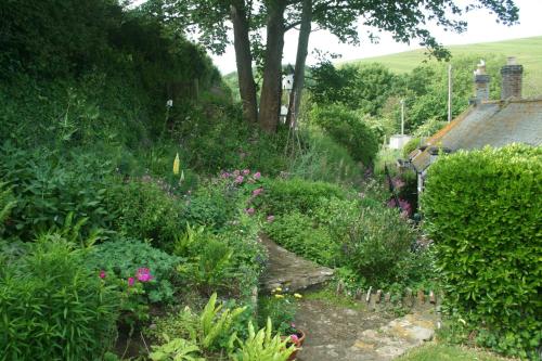 The Cottage Abbotsbury