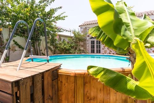 Guest house Villa Neon Tenerife 4
