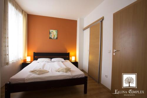 Kalina Complex - image 5