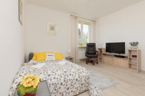 Racławicka Cozy Studio Apartment by Noclegi Renters, Warszawa