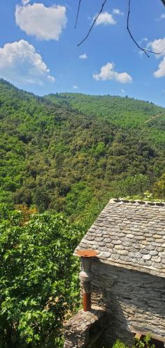 Gîte de Combelebouze en Cévennes - Cosy, Confort et Climatisé - 3 étoiles