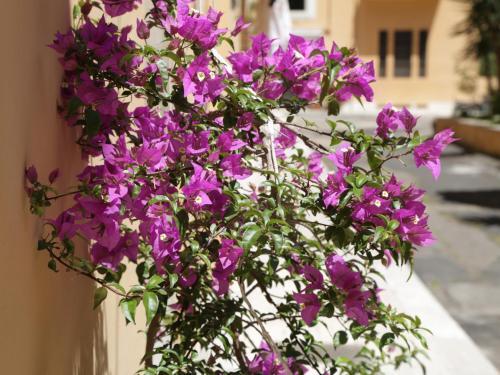 Guest House Masterintrastevere - image 12