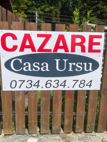 Casa Ursu