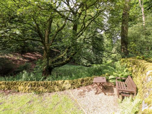 The Dell - image 9