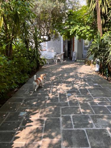  Bellavista garden house Maratea, Unterkunft in Maratea