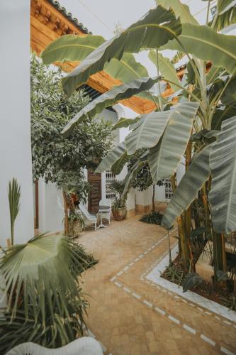 Palais Chadmi – Marrakech, KY