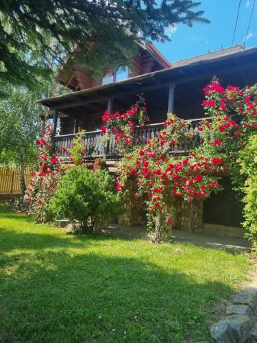 Viesnīcas āriene, Cabana Haiducului in Soveja