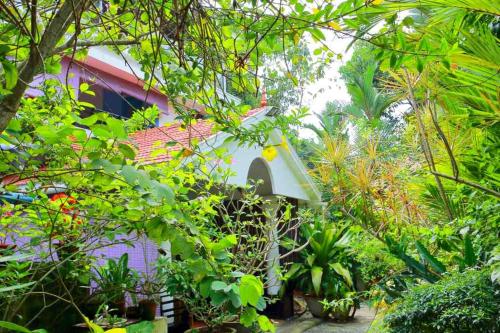 Bella Homestay Kerala