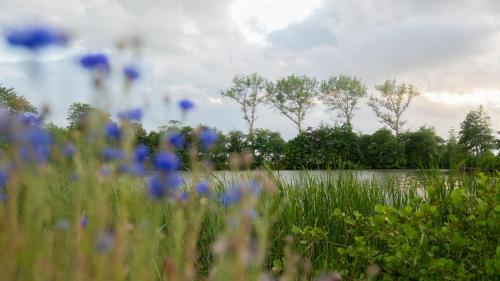 Schillhörn - Der besondere Urlaub in Ostfriesland