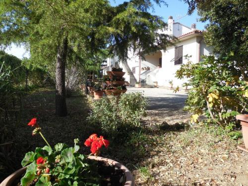 One-Bedroom Apartment with Garden - Annex