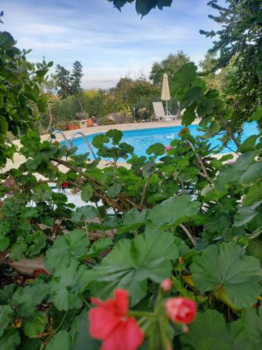Villa Koumneni - image 5