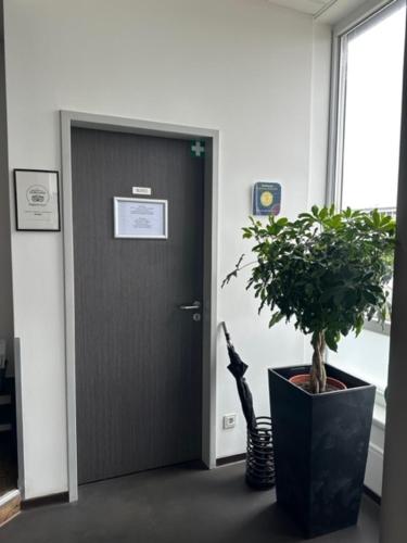 Arena Hostel & Monteurzimmer, Hamburgo (foto 10)
