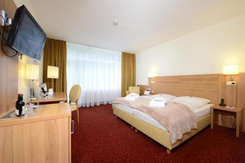 Large Double Room