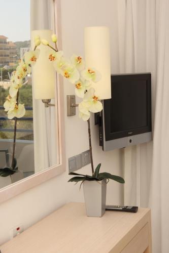 Vrissiana Boutique Beach Hotel - Tap to explore photos