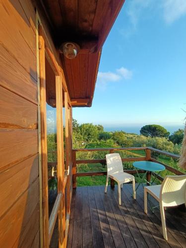 The Treehouse - Casa sull'albero al Golden Camp 3