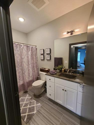 520 Neil Luxury 2 Bedroom in Champaign, USA