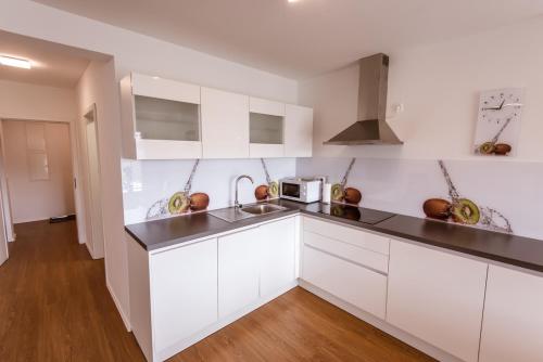 Apartma Sofija, Moravski Dvori, Moravske Toplice (fotografie 6)