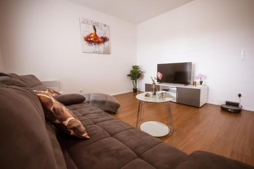 Apartma Sofija, Moravski Dvori, Moravske Toplice (fotografie 3)