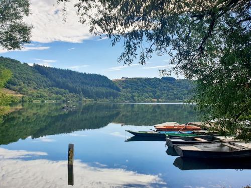 View, River Mosel Holiday Homes/Delux studio Meerfeld with a lake view in Meerfeld