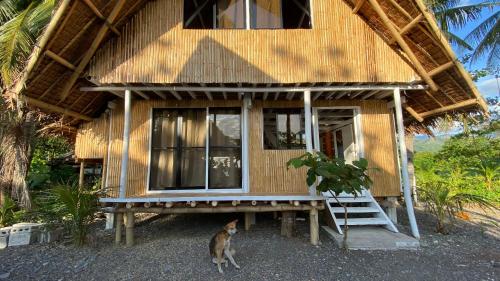 外観, Villa Eliza Ecofarm in アンティーケ