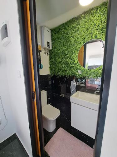 HM - Tinyhouse 1 Deluxe Krombachtalsperre Westerwald, Driedorf (fotografie 8)