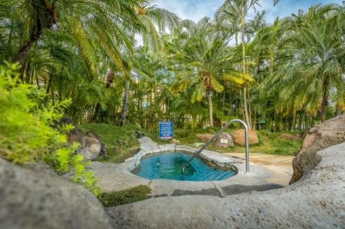 Maui Kamaole K-208 Maui Kamaole K-208