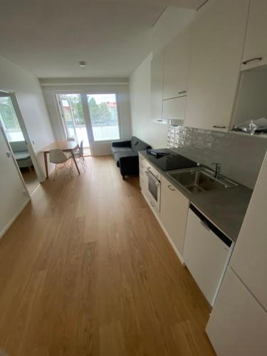 Scandinavia Apartment Aapo