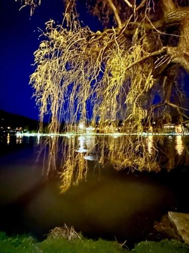 Pieds dans l'eau Private Wellness Bordure de Meuse