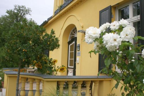 B&B Lübow - Gutshaus mit Seeblick - ökologisch & nachhaltig - Bed and Breakfast Lübow