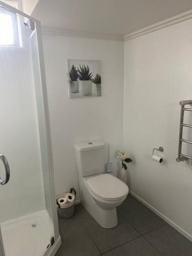 Bathroom, Bunker on Belt in Moturoa