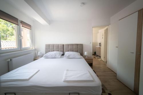 Mary's Apartments - image 9
