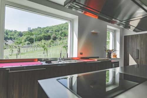 MyVilla Suites in Palazzo Canavese