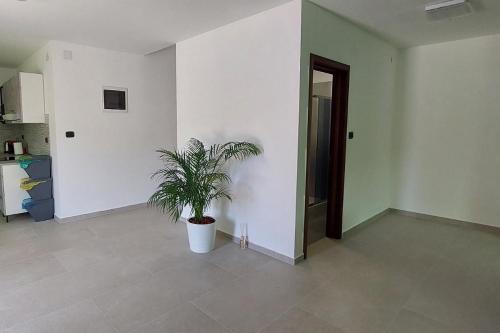 Family friendly apartments with a swimming pool Pomer Medulin - 17681 - image 7