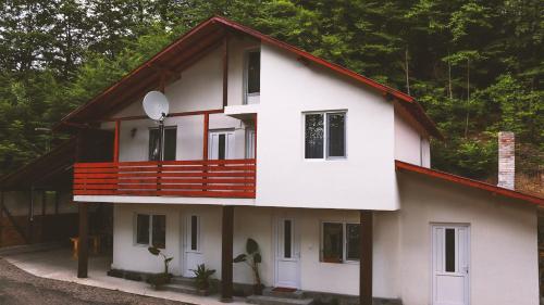 Viesnīcas āriene, Pensiunea Dana-Maria in Lunca Jariştei