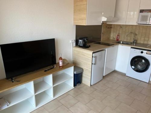 Studio Cap d'Agde, 1 pièce, 4 personnes - FR-1-749-5