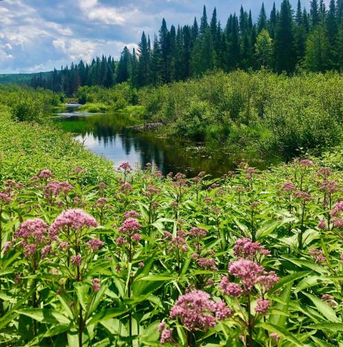 ที่เที่ยวใกล้ที่พัก, Chalet en bois rond Mauricie in แซ็ง อเลซี เด มงต์ (ควิเบ)