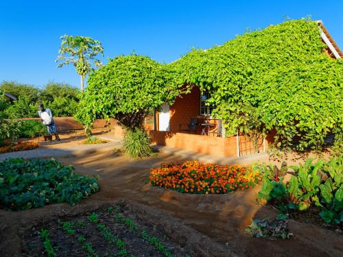 Damara Mopane Lodge, Gondwana Collection Namibia
