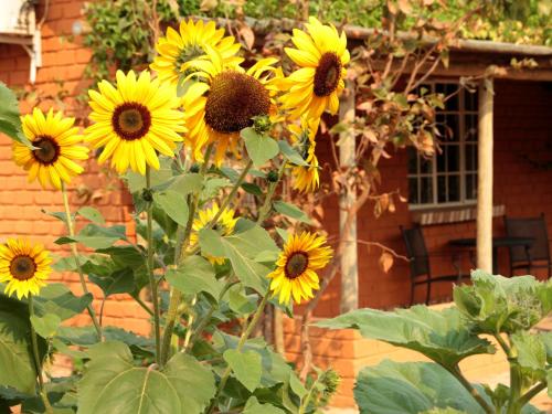 Damara Mopane Lodge, Gondwana Collection Namibia