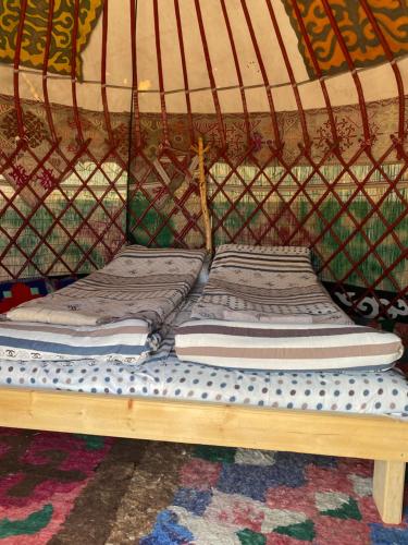 Yurt camp Sonun in Bulan Sogottuu