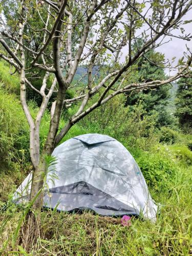 Nomind Vibe, Lapas Village ,Parvati Valley Nomind Vibe, Lapas Village ,Parvati Valley