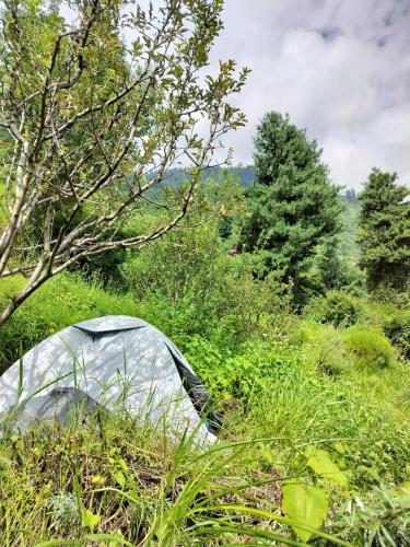 Nomind Vibe, Lapas Village ,Parvati Valley Nomind Vibe, Lapas Village ,Parvati Valley