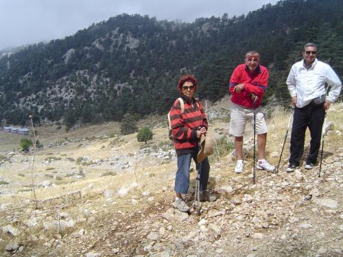 Anatolia Resort - image 13