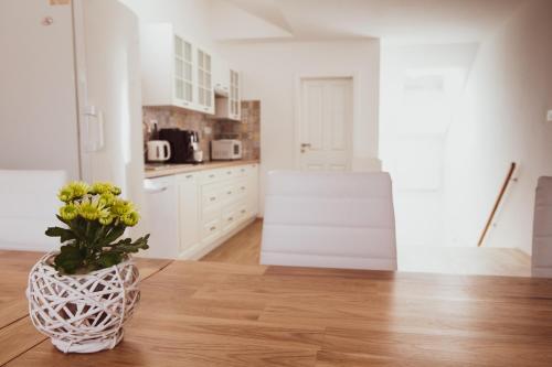 ห้องครัว, Ubytování U Vladaře (Ubytovani U Vladare) in บรานิคอฟ