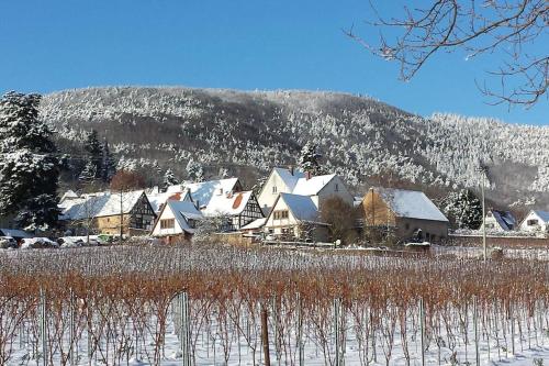 Traumblick Rebenmeer in Gleisweiler