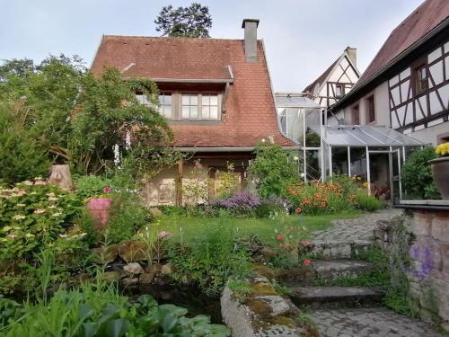 Traumblick Rebenmeer in Gleisweiler