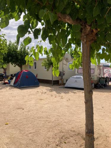 Camping el Pinar Platja 2