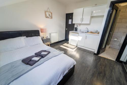 Studio available close to Queen Elizabeth Hospital, Birmingham (fotografie 9)